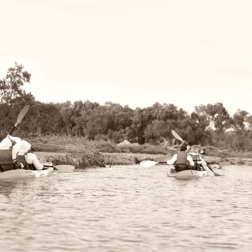  Mangroves 4 Mankind (M4M)