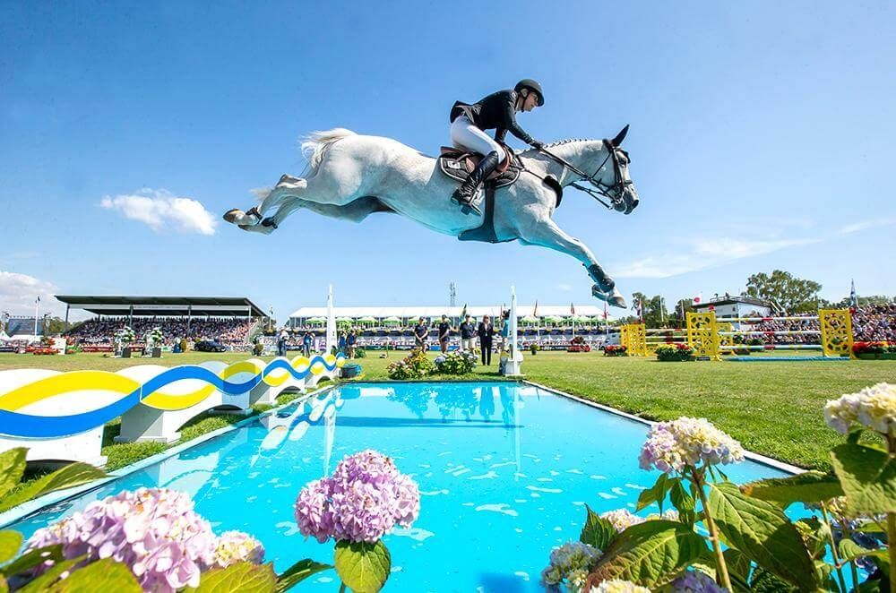 Show Jumping