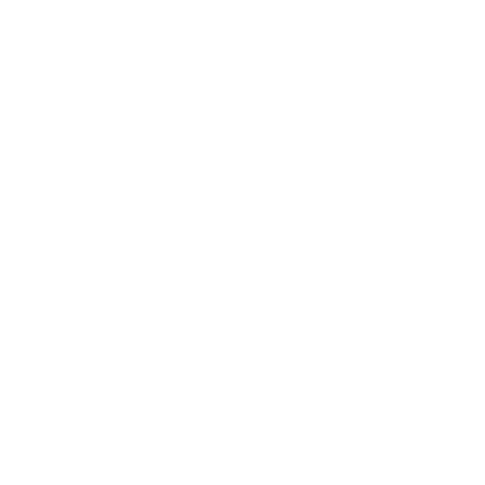  RESET_White logo.png